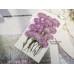 孔雀草花-側面紫色