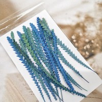 山茂尖-海藍色-押花花材