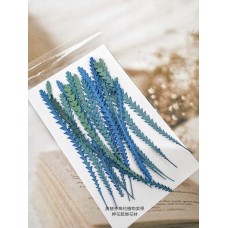 山茂尖-海藍色-押花花材