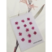 美女櫻-桃紅色-押花花材