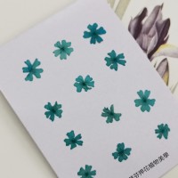 美女櫻-深天藍色-押花花材