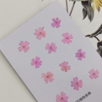 美女櫻-粉紅-押花花材