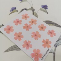 美女櫻-淡粉紅-押花花材