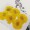 波斯菊-黃色-押花花材