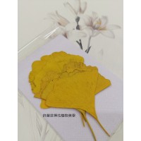 銀杏葉-染黃色-押花葉材
