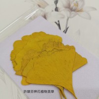 銀杏葉-染黃色-押花葉材