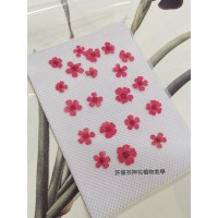 小手球-紅色正面-押花花材