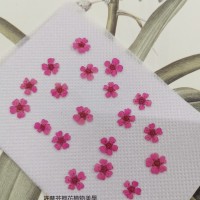 小手球-粉紅色正面-押花花材