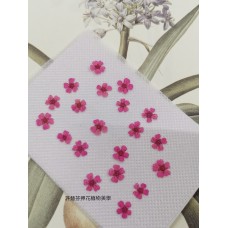 小手球-粉紅色正面-押花花材