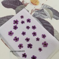 小手球-紫色正面-押花花材