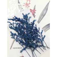 卡斯比亞-寶藍色-押花花材