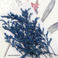 卡斯比亞-寶藍色-押花花材