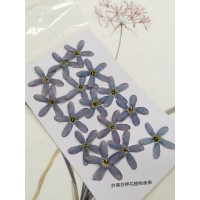 藍星花-藍色-押花花材