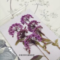 小手球串-紫色-押花花材