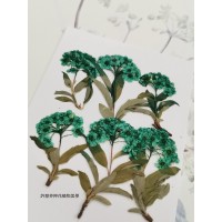 小手球串-天藍色