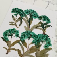 小手球串-天藍色