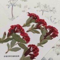 小手球串-紅色