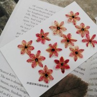 伯利恆之星-淡紅色-押花花材