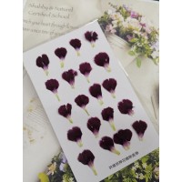 康乃馨花瓣-酒紅色-押花花材