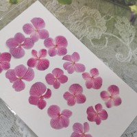 繡球花-粉紅色-押花花材