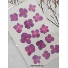 繡球花-粉紅紫色-押花花材