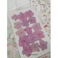 繡球花-押花花材-複瓣淺紫粉紅色