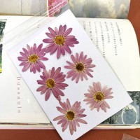 瑪格莉特-淡酒紅色