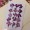 石竹-紫色-押花花材