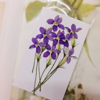 紫鈴蘭-原色 - 押花花材 
