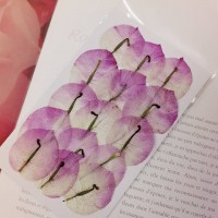 三角梅-原色粉紅色-押花花材