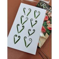 鐵樹芽-原色 - 押花花材 