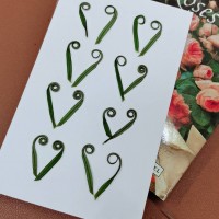 鐵樹芽-原色 - 押花花材 