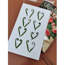 鐵樹芽-原色 - 押花花材 