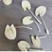 植物美白液AB劑用於植物漂白美色專用