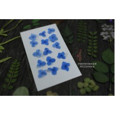 網繡球花-300色-押花花材