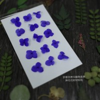 網繡球花-301色-押花花材