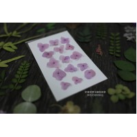 網繡球花-303色-押花花材