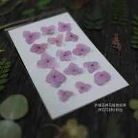 網繡球花-303色-押花花材