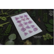 網繡球花-303色-押花花材