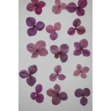 網繡球花-508色-押花花材
