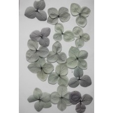 網繡球花-509色-押花花材