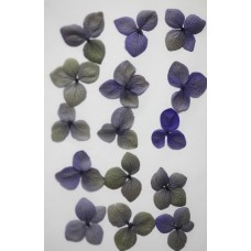 網繡球花-511色-押花花材