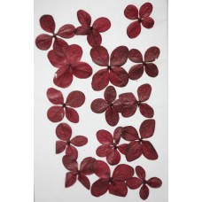 網繡球花-512色-押花花材