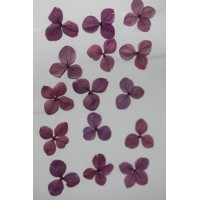 網繡球花-516色-押花花材