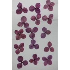 網繡球花-516色-押花花材