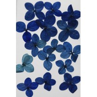 網繡球花-518色-押花花材