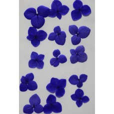 網繡球花-519色-押花花材