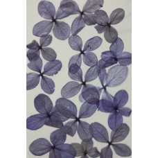 網繡球花-520色-押花花材