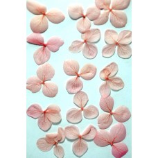 網繡球花-522色-押花花材