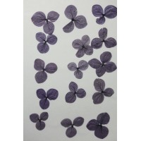 網繡球花-523色-押花花材